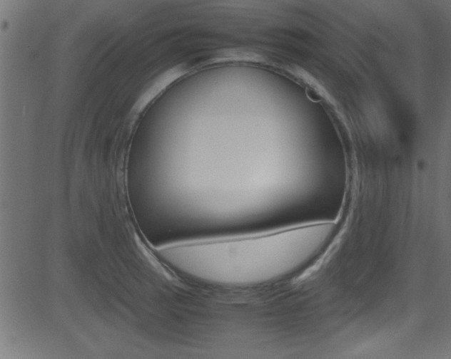 X0000081591137200701151019