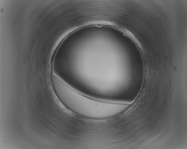 X0000081591140200701151019
