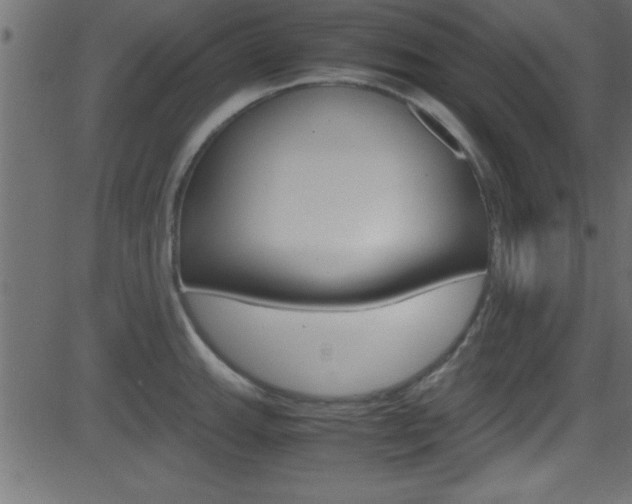 X0000081591143200701151019