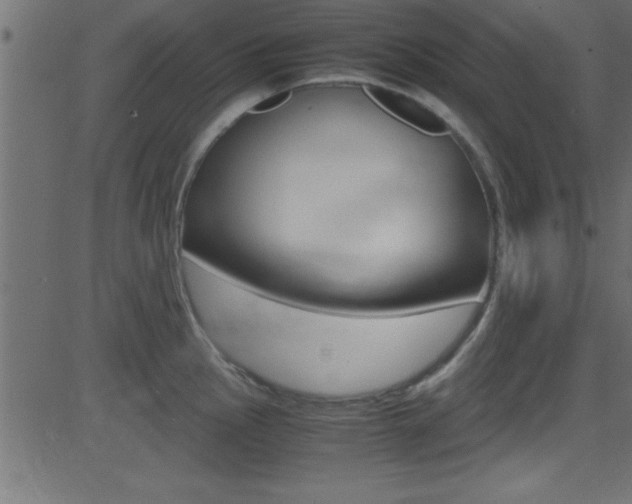 X0000081591145200701151019