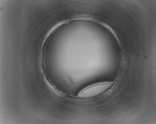 X0000081591147200701151019