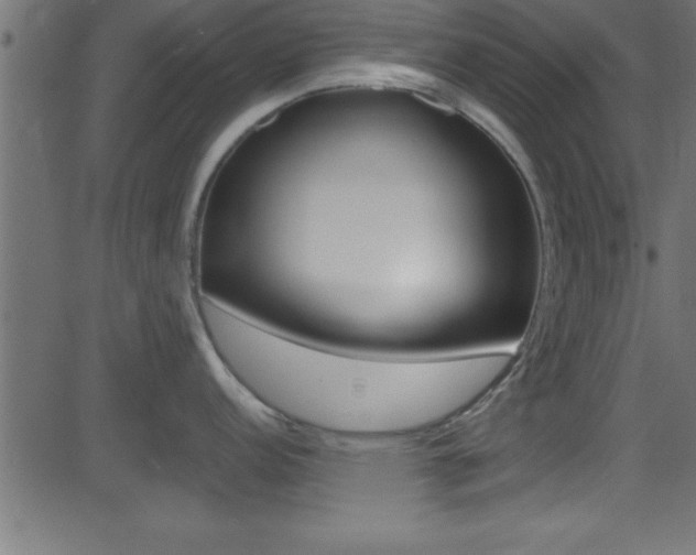 X0000081591152200701151019