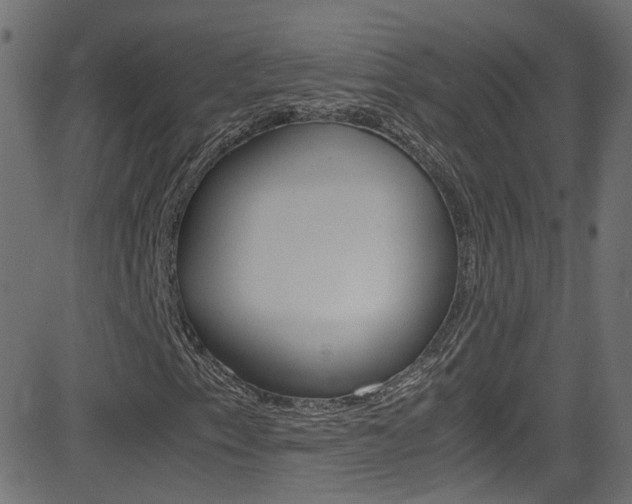 X0000081591153200701151019