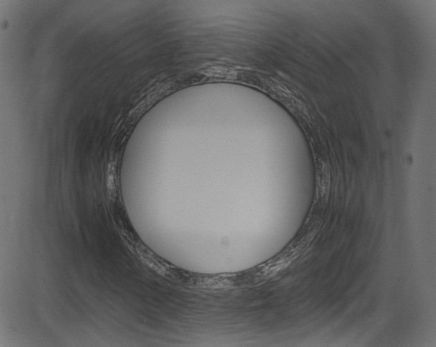 X0000081591154200701151019