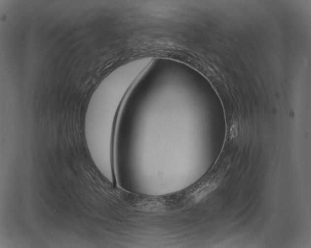 X0000081591156200701151019