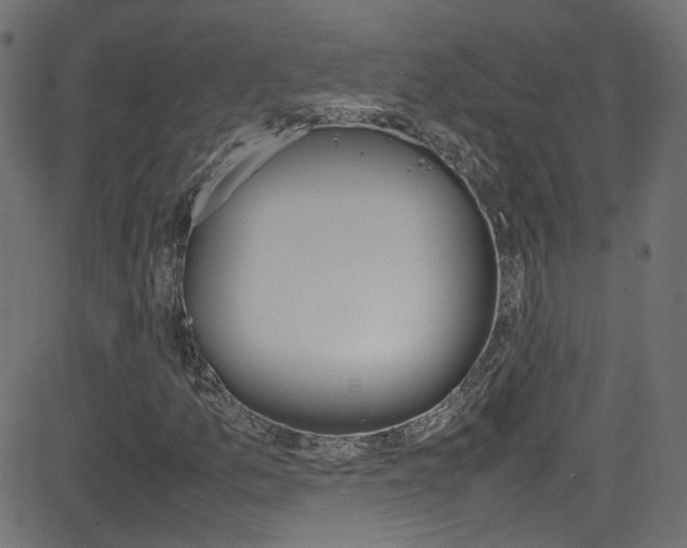 X0000081591157200701151019