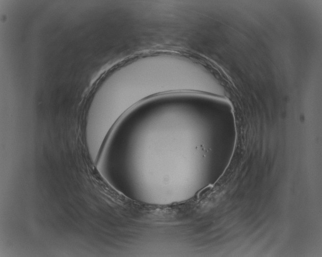 X0000081591160200701151019