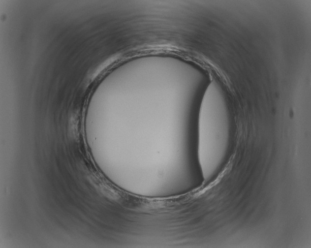 X0000081591162200701151018