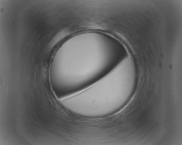 X0000081591163200701151018