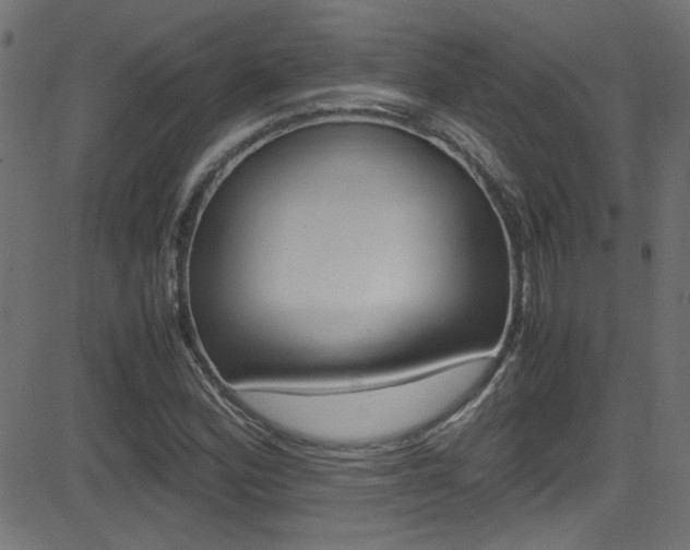 X0000081591164200701151018