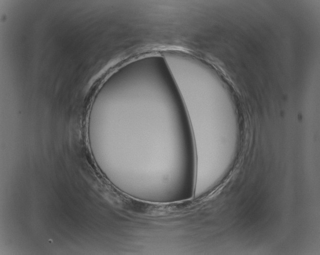 X0000081591165200701151018