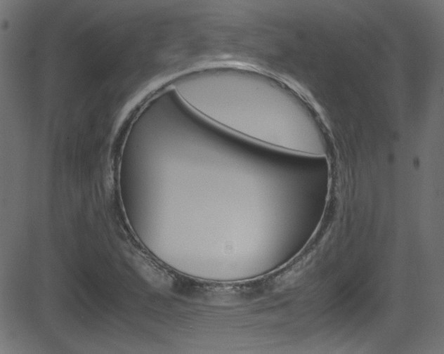 X0000081591167200701151018