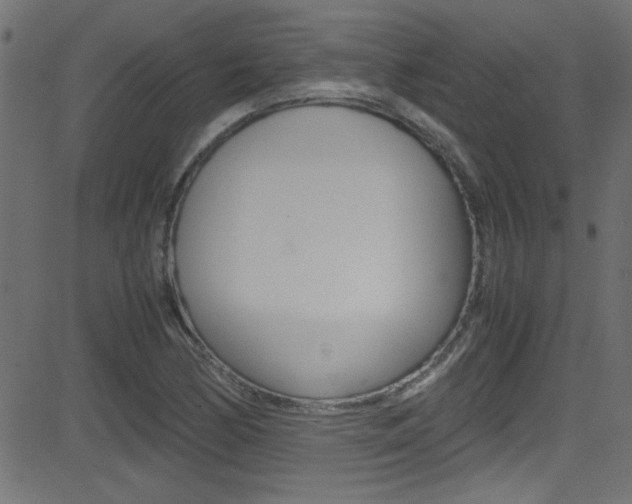 X0000081591170200701151018