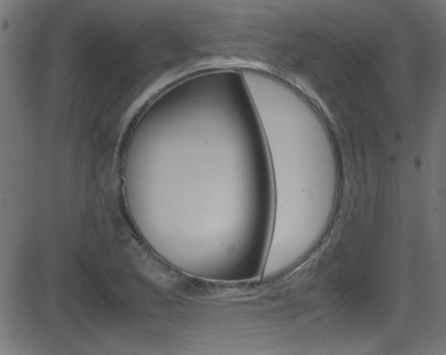 X0000081591173200701151018