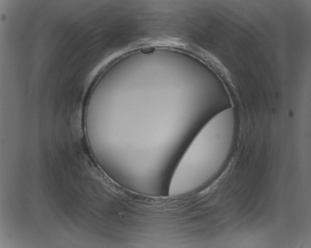 X0000081591174200701151018