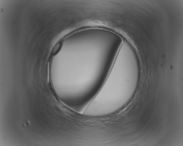 X0000081591175200701151018