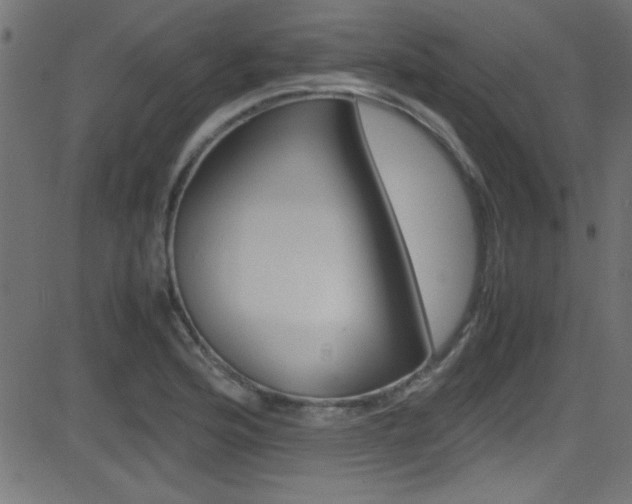 X0000081591176200701151018