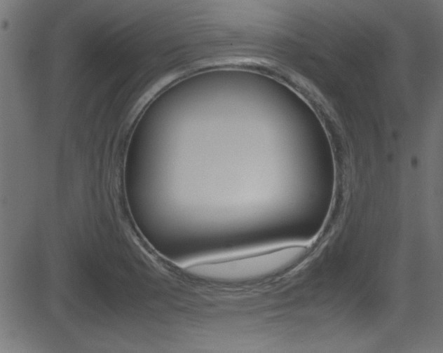 X0000081591177200701151018