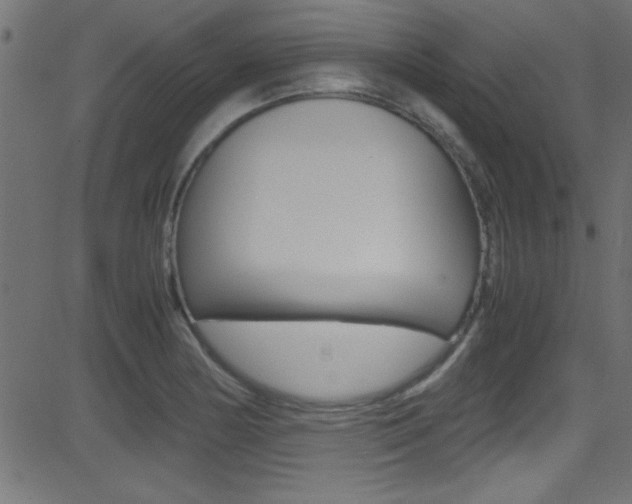 X0000081591178200701151018