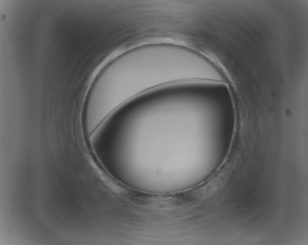 X0000081591181200701151018