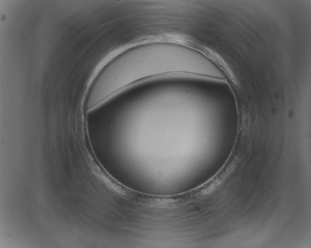 X0000081591184200701151018