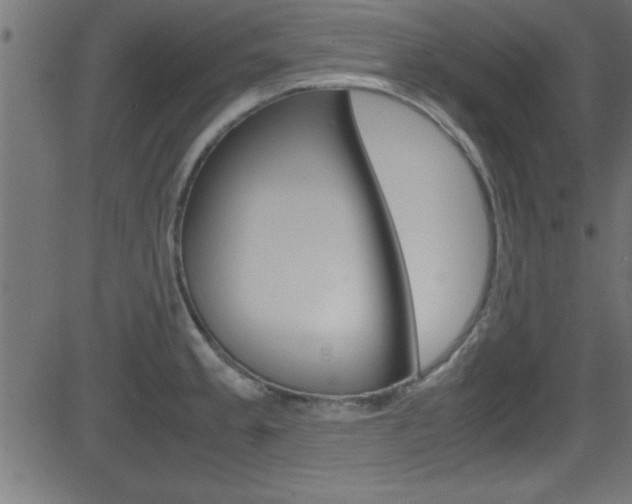 X0000081591189200701151018