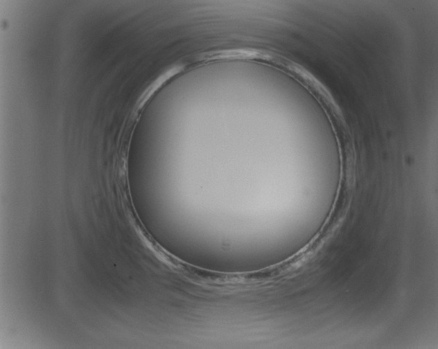 X0000081591193200701151018