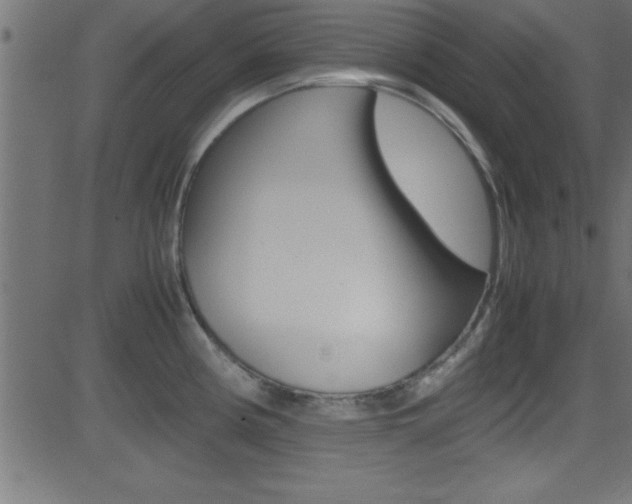 X0000081591194200701151018