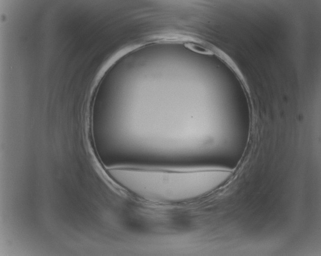 X0000081591195200701151018