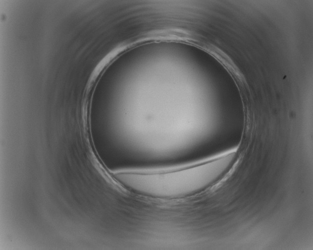 X0000081591196200701151018