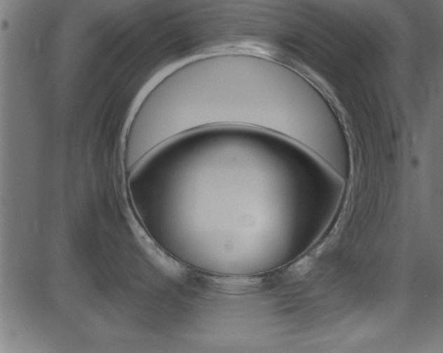 X0000081591200200701151018