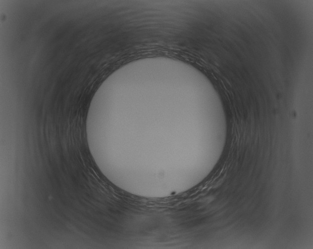 X0000081591202200701151017