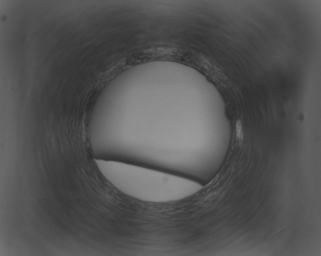 X0000081591203200701151017