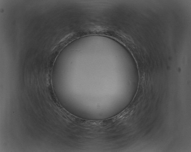 X0000081591205200701151017