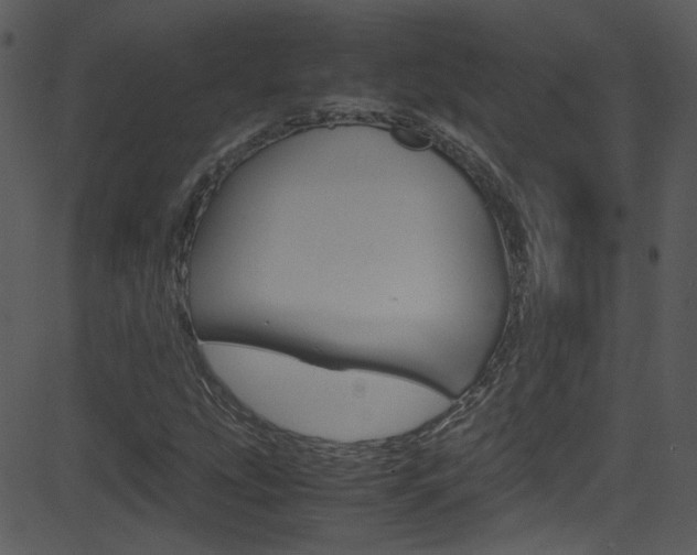 X0000081591207200701151017