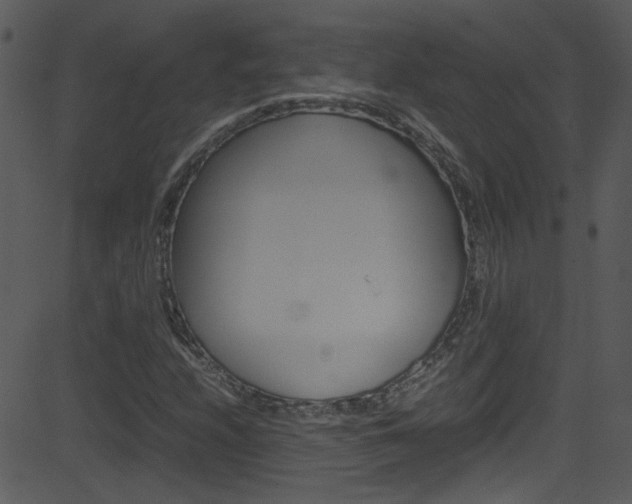 X0000081591208200701151017