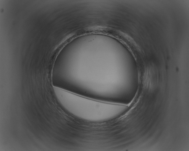 X0000081591209200701151017