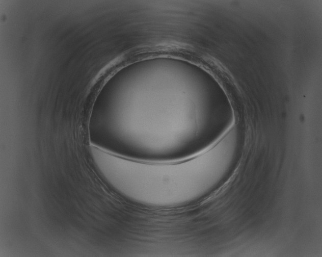 X0000081591210200701151017