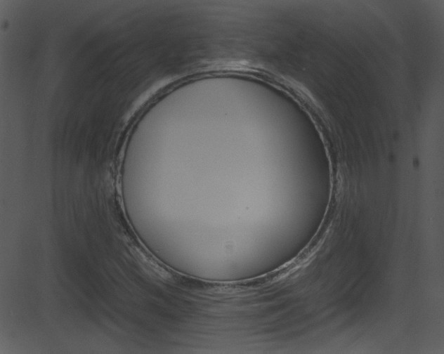 X0000081591212200701151017