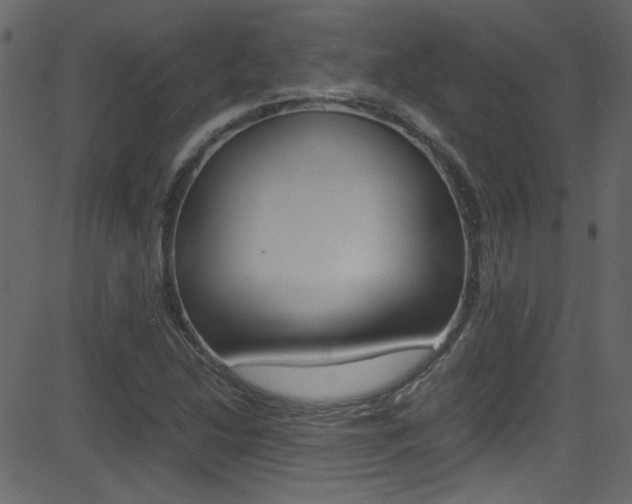 X0000081591214200701151017