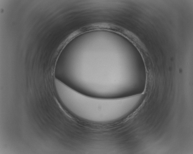 X0000081591225200701151017