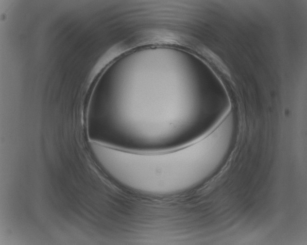 X0000081591226200701151017