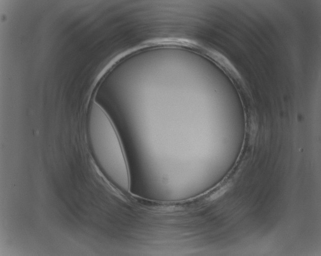 X0000081591228200701151018