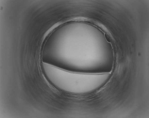 X0000081591229200701151018