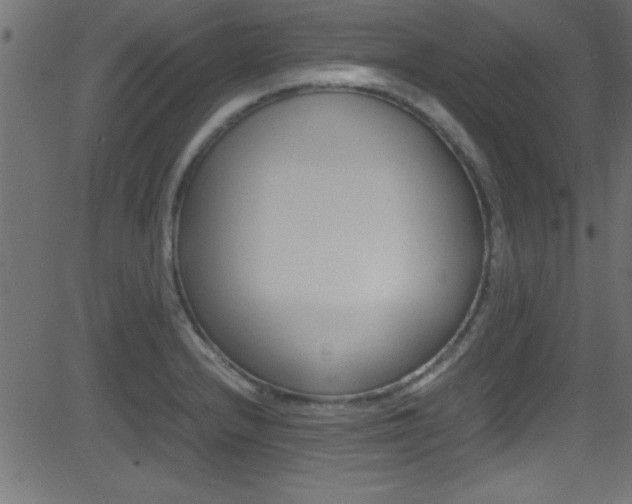 X0000081591232200701151018