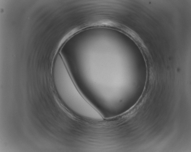 X0000081591234200701151018