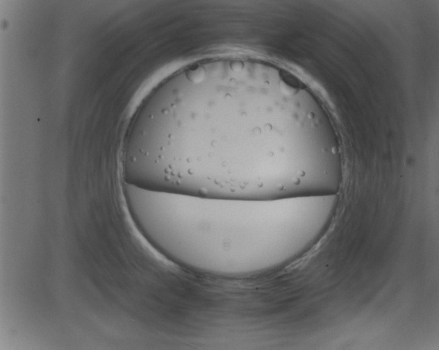 X0000081591239200701151018