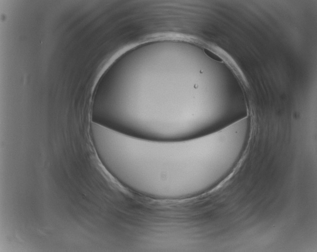 X0000081591244200701151018