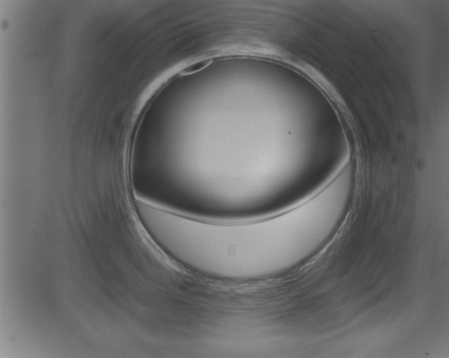 X0000081591246200701151018