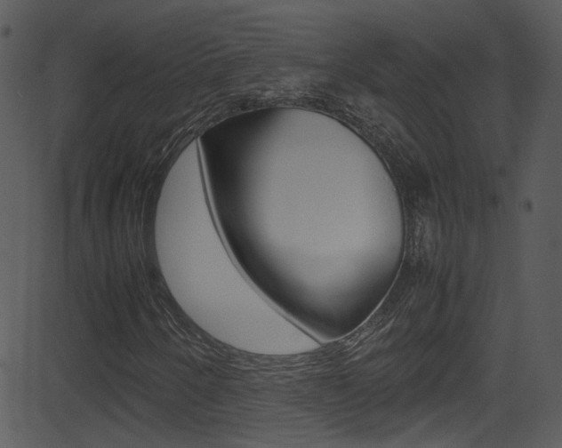 X0000081591250200701151017